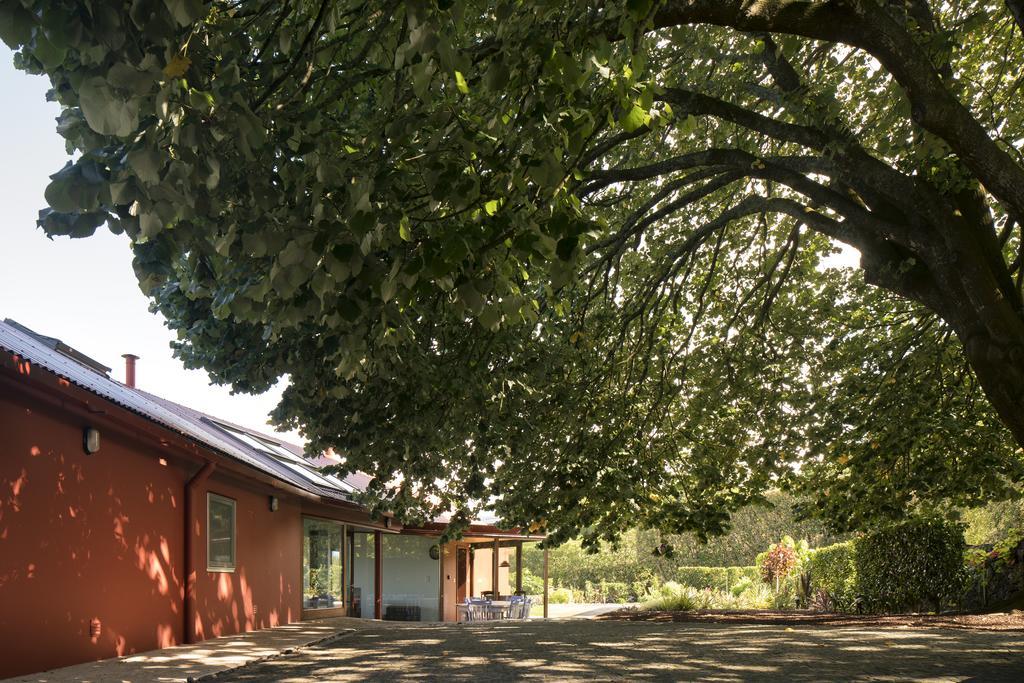 Quinta Da Tilia Boutique Retreat Guest House Capelas Exterior photo